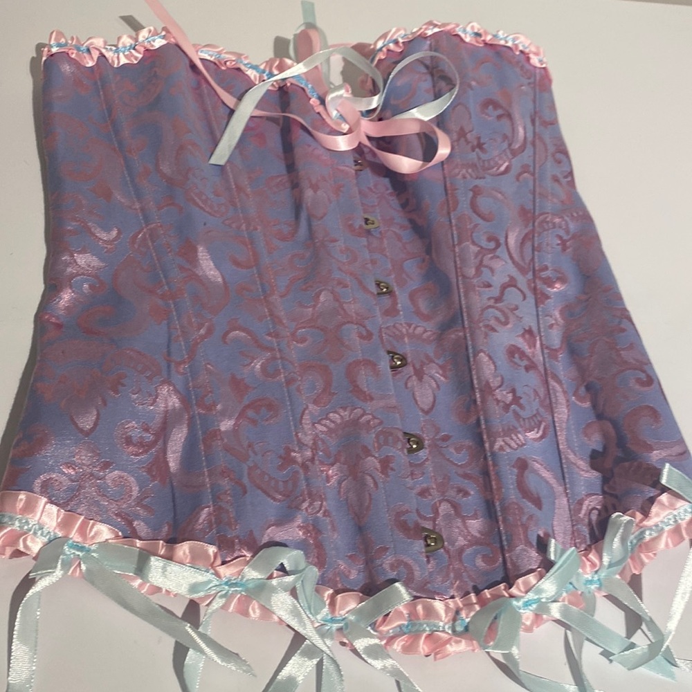 Corset Bridgerton Colours Pink Blue Bustier